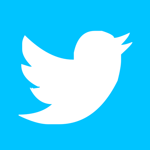Изображение: Twitter - авторег, чистые не заполненные, пол: MIX 50-100 ПОДПИСЧИКОВ, 0-50 ТВИТТОВ